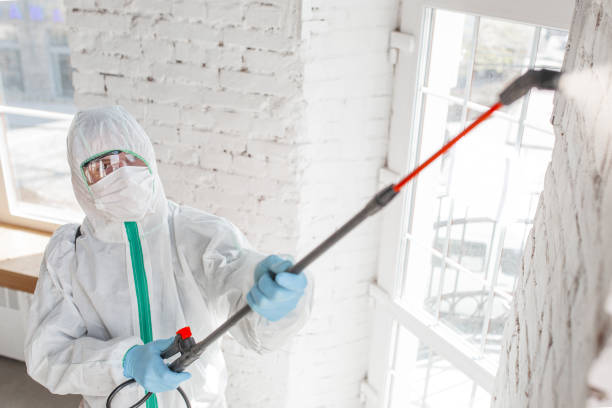 Best Forensic Mold Investigation  in Lookout Mountain, TN